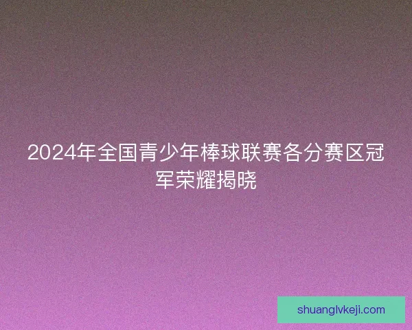 2024年全国青少年棒球联赛各分赛区冠军荣耀揭晓