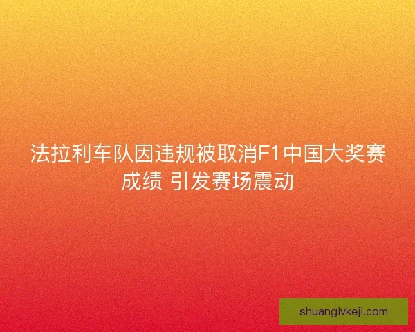 法拉利车队因违规被取消F1中国大奖赛成绩 引发赛场震动