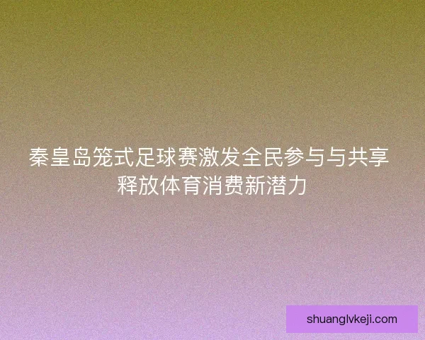 秦皇岛笼式足球赛激发全民参与与共享 释放体育消费新潜力