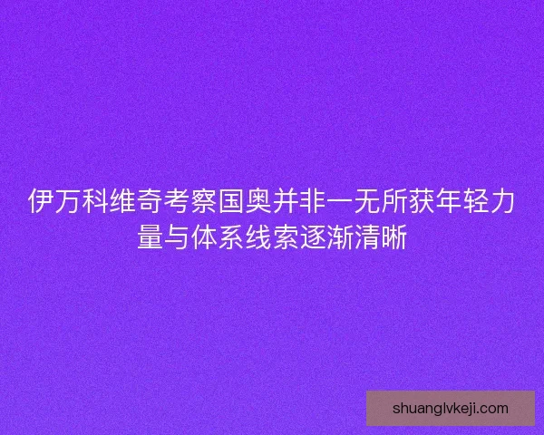 伊万科维奇考察国奥并非一无所获年轻力量与体系线索逐渐清晰