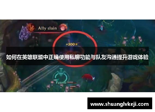 如何在英雄联盟中正确使用私聊功能与队友沟通提升游戏体验