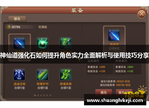 神仙道强化石如何提升角色实力全面解析与使用技巧分享
