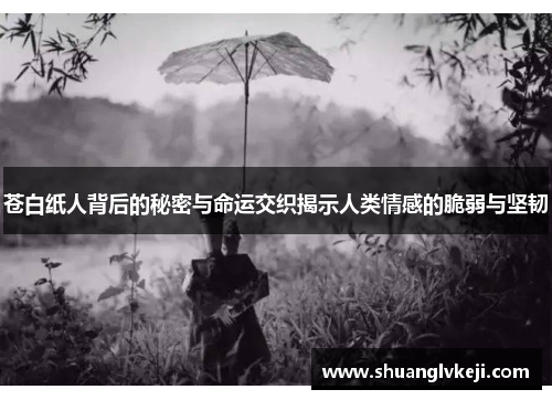 苍白纸人背后的秘密与命运交织揭示人类情感的脆弱与坚韧