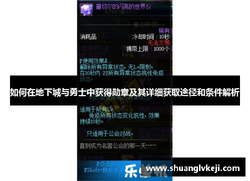 如何在地下城与勇士中获得勋章及其详细获取途径和条件解析